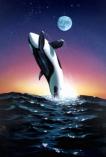 2278 Ocean Leap  